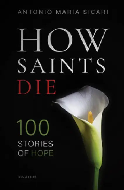How Saints Die: 100 Stories of Hope by Antonio Maria Sicari