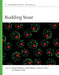 Budding Yeast: A Laboratory Manual by Charles Boone, Brenda Andrews, Stan Fields