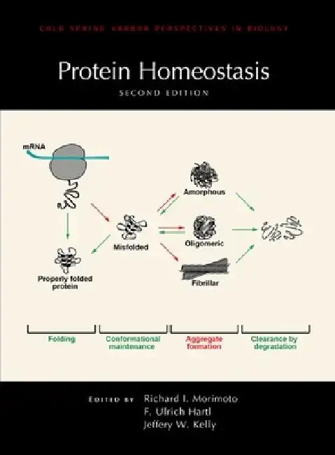 Protein Homeostasis, Second Edition by Jeffery W. Kelly