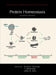 Protein Homeostasis, Second Edition by Jeffery W. Kelly