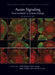 Auxin Signaling: From Synthesis to Systems Biology, Second Edition by Weijers, Dolf