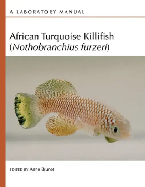 African Turquoise Killifish (Nothobranchius Furzeri): A Laboratory Manual by Anne Brunet