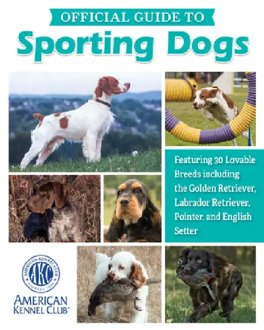 Akc Official Guide to Sporting Dogs: Featuring Lovable Breeds Including the Golden Retriever, Labrador Retriever, Pointer, and English Setter by American Kennel Club
