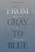 From Gray to Blue: Galvanized Yankees in the American Civil War by Patrick H. Garrow