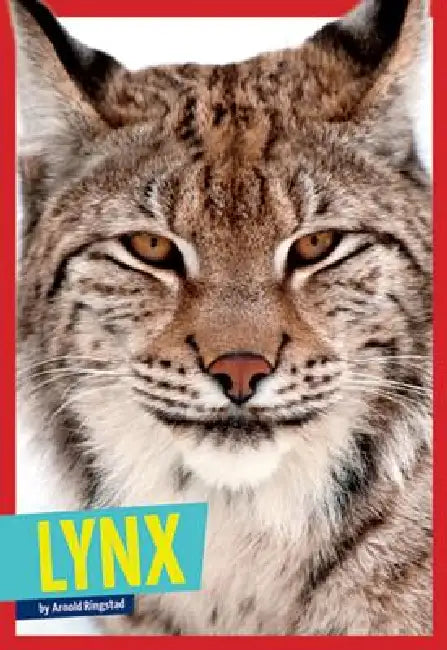 Lynx by Arnold Ringstad