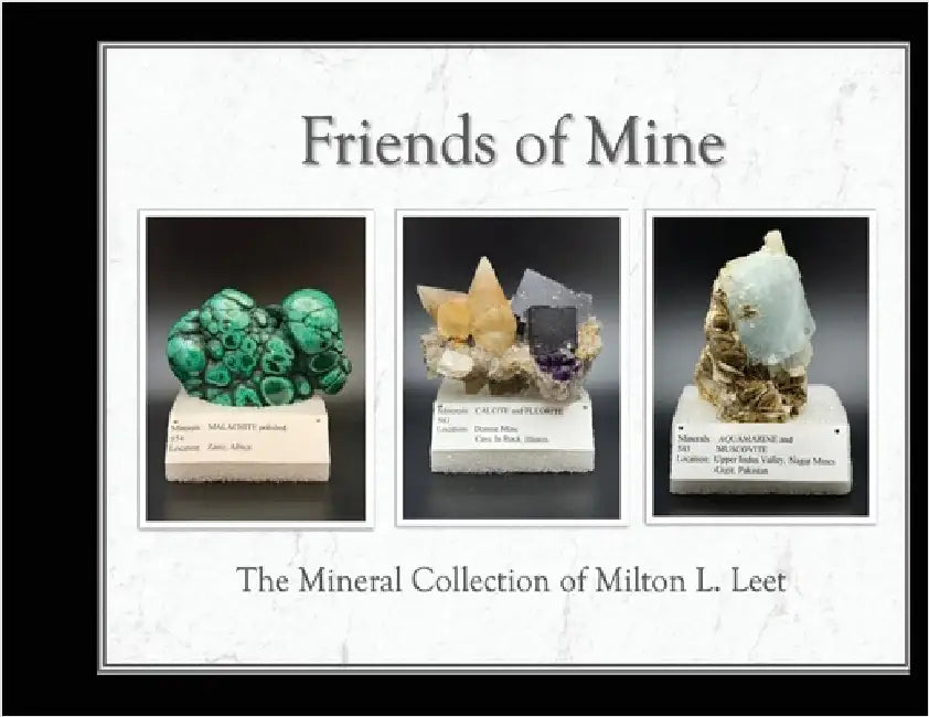 Friends of Mine: the Mineral Collection of Milton L. Leet by Leet, Milton