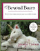 Beyond Bears: How to draw, design, and sew your own stuffed animals by Jennifer Carson