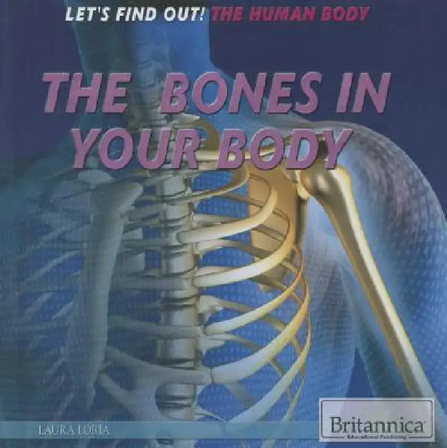 The Bones in Your Body by Laura Loria