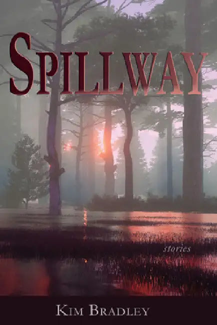 Spillway by Kim Bradley