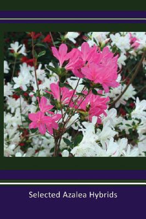 Selected Azalea Hybrids by Barbara S. Stump