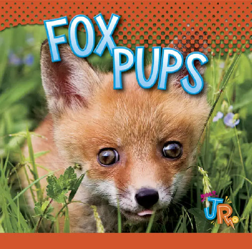 Fox Pups by Jen Besel