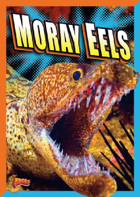 Moray Eels by Gail Terp
