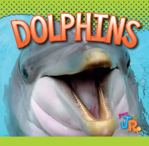 Dolphins by Marysa Storm