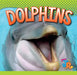 Dolphins by Marysa Storm
