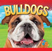 Bulldogs by Marysa Storm