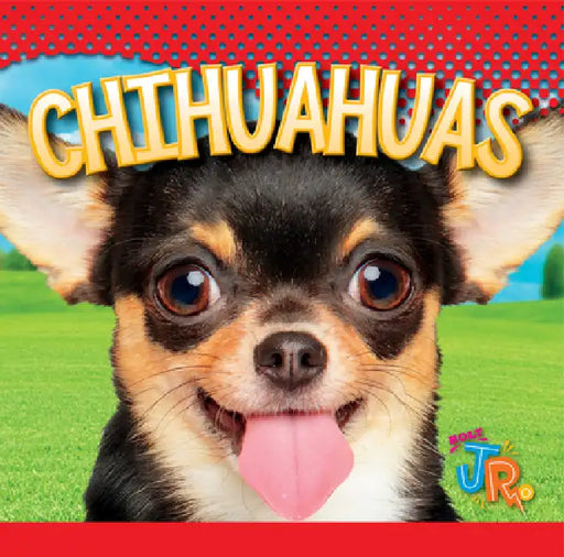 Chihuahuas by Marysa Storm