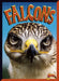 Falcons by Lydia Lukidis