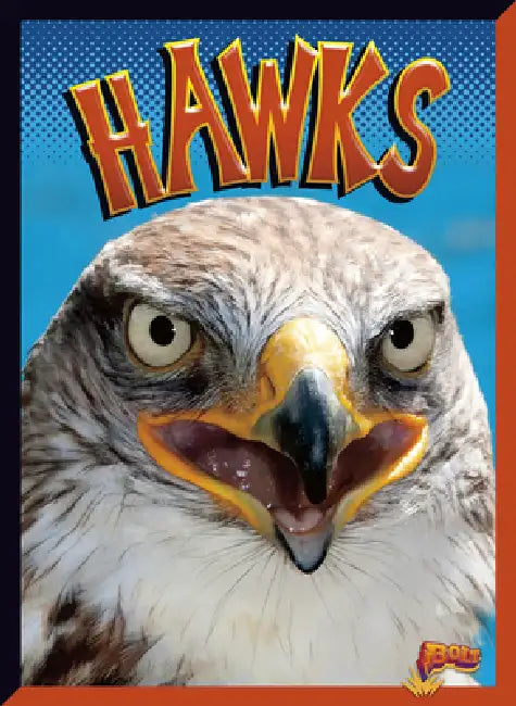 Hawks by Lydia Lukidis