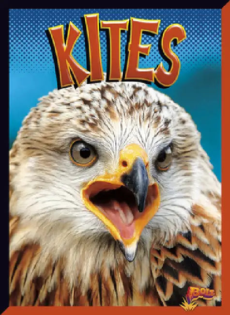 Kites by Janet Davis-Castro