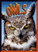 Owls by Janet Davis-Castro