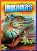 Iguanas by Mark Weakland
