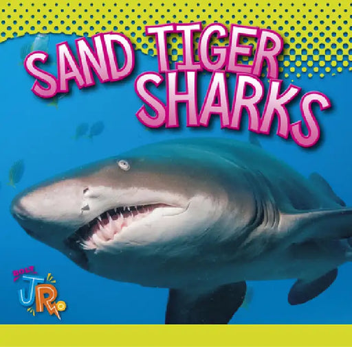 Sand Tiger Sharks by Marysa Storm