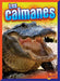 Los Caimanes by Mark Weakland