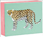Big Cats Quicknotes by Jen Collins