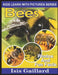 Bees: Photos and Fun Facts for Kids by Isis Gaillard