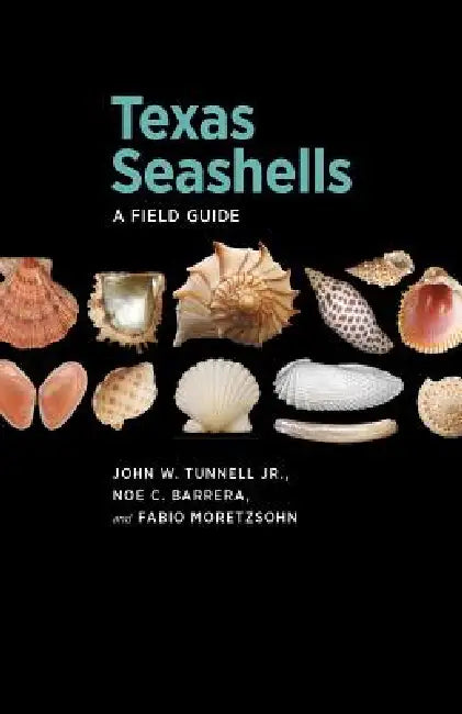 Texas Seashells: A Field Guide by John W. Tunnell, Noe C. Barrera, Fabio Moretzsohn