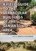 A Field Guide to the Vernacular Buildings of the San Antonio Area by Brent Fortenberry