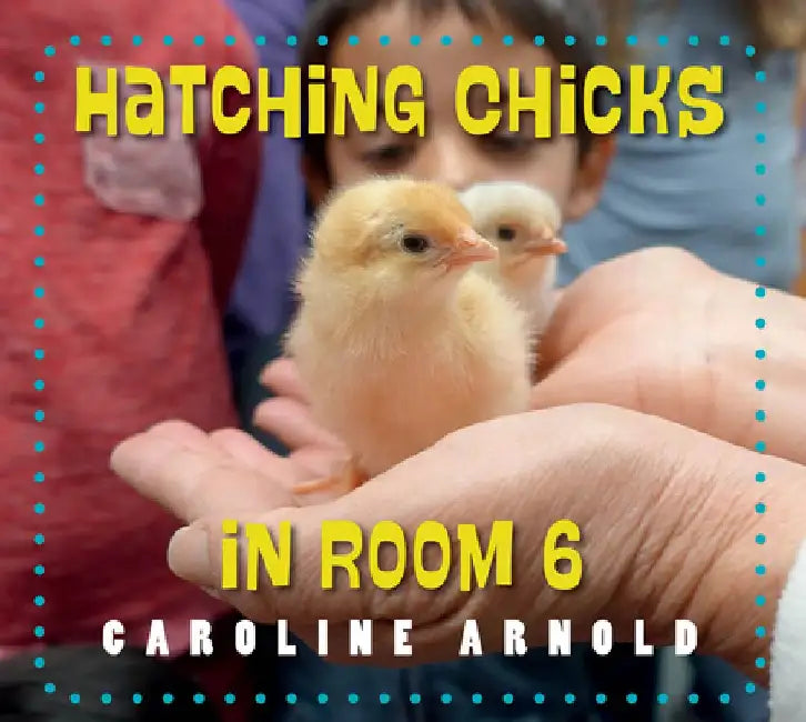 Hatching Chicks in Room 6 by Caroline Arnold