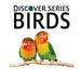 Birds: Discover Series Picture Book for Children by Xist Publishing