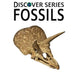 Fossils by Xist Publishing