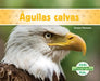 Aguilas Calvas (Bald Eagles) by Grace Hansen