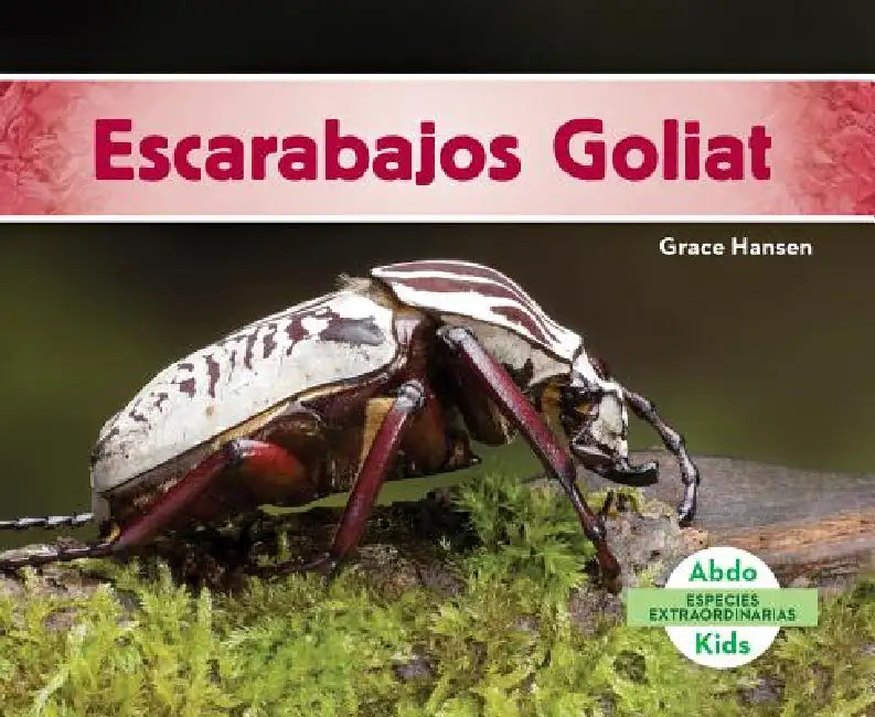 Escarabajos Goliat (Goliath Beetles) by Grace Hansen
