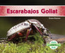 Escarabajos Goliat (Goliath Beetles) by Grace Hansen