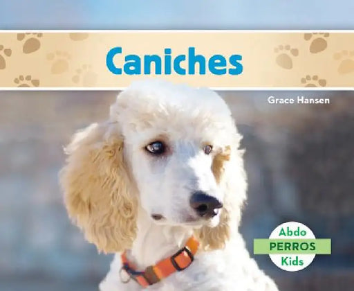 Caniches (Poodles ) by Grace Hansen