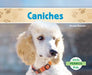 Caniches (Poodles ) by Grace Hansen