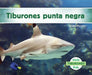 Tiburones Punta Negra (Blacktip Reef Sharks) by Grace Hansen