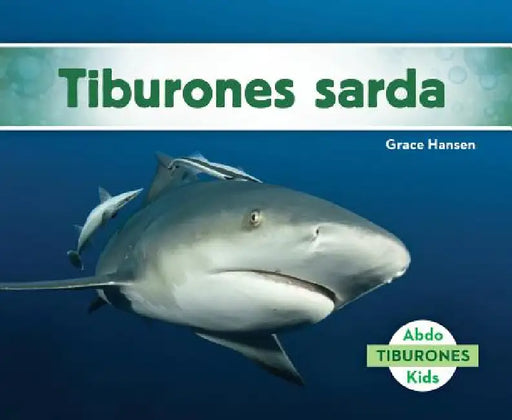 Tiburones Sarda (Bull Sharks) by Grace Hansen