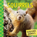 Squirrels by Kristin Petrie