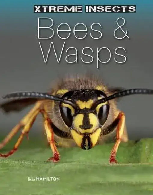 Bees & Wasps by S. L. Hamilton