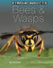 Bees & Wasps by S. L. Hamilton