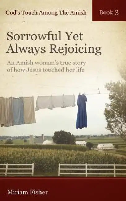 God's Touch Among The Amish Book 3 by Miriam Fisher