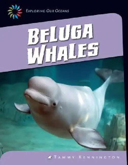 Beluga Whales by Tammy Kennington