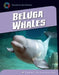 Beluga Whales by Tammy Kennington