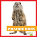 Prairie Dogs by Cari Meister
