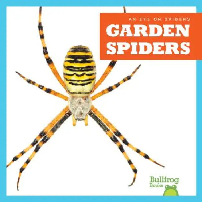 Garden Spiders by Kristine Spanier
