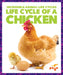 Life Cycle of a Chicken by Karen Kenney